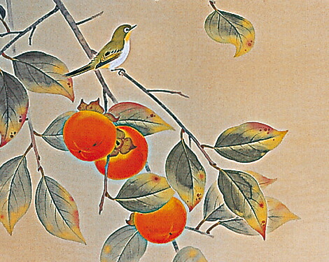 楽天市場】掛け軸 掛軸(かけじく) 柿に小禽（穂積 弘文）全国送料無料