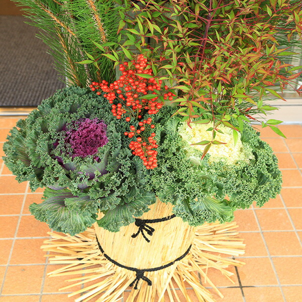 楽天市場】年内まだ間に合う 門松：天然素材 至高門松一対*(1.5m)12月