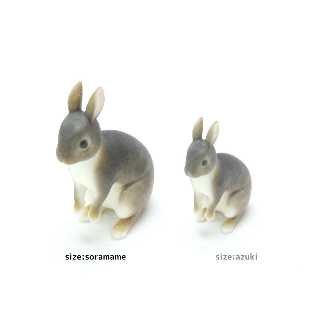 楽天市場】【soramame】Partner's 21 ネザーランド・ドワーフ(寸法：幅