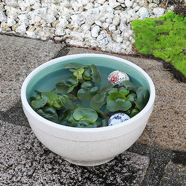 楽天市場】11号白カスミ水鉢 すいれん鉢 信楽焼すいれん鉢 メダカ鉢