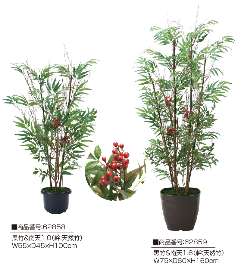 楽天市場】【クーポンで10%OFF】 人工観葉植物 黒竹1.8 フェイク