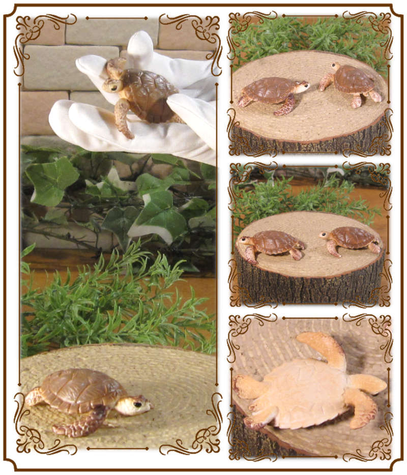 楽天市場】カメの置物 ウミガメ 2点セット リアルな 亀 海亀爬虫類