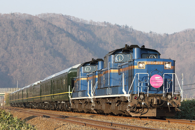 DD51 1137 | 貨物列車と機関車の写真館