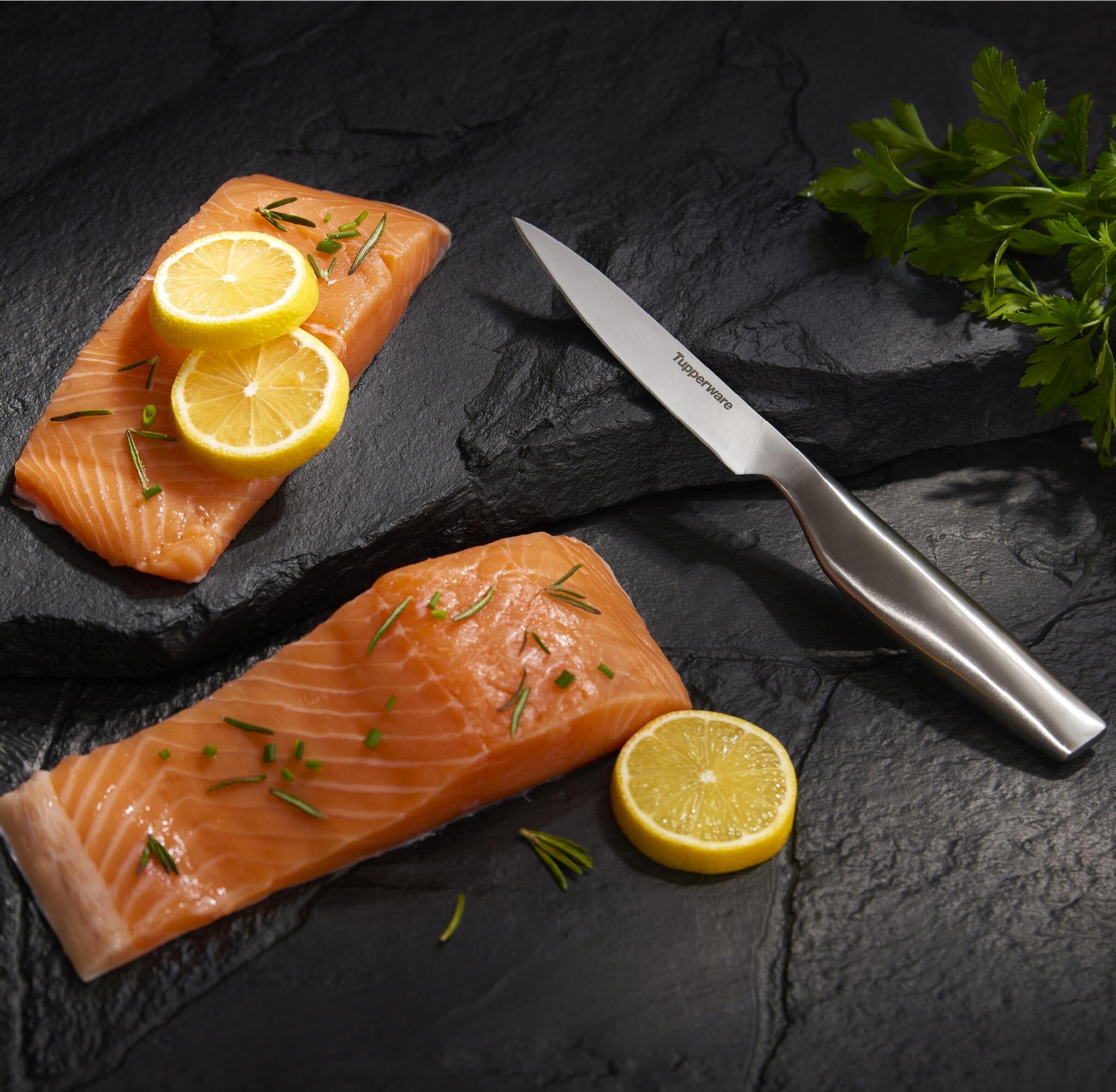 Mastro Paring Knife – TUPPERWARE FRANCE