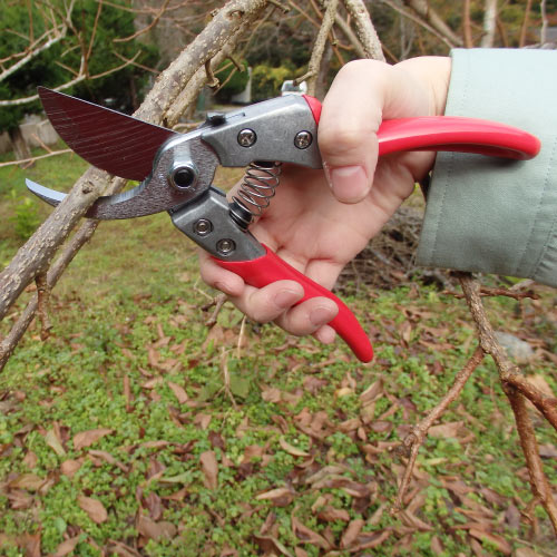 剪定鋏ブイエスエイト VS-8Z｜アルス《公式》園芸刃物ショップ