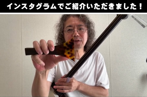 三味線用・撥】鼈甲調撥／金甲（津軽三味線用） | 和楽器市場·新館