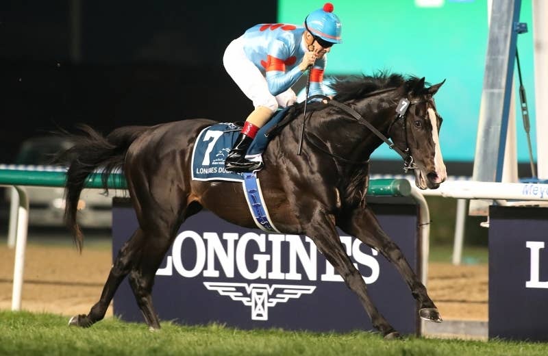 イクイノックス（Equinox） | 競馬データベース | JRA-VAN World