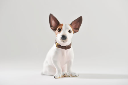 ほぼ日刊イトイ新聞 - ちいさなブイヨンができるまで。