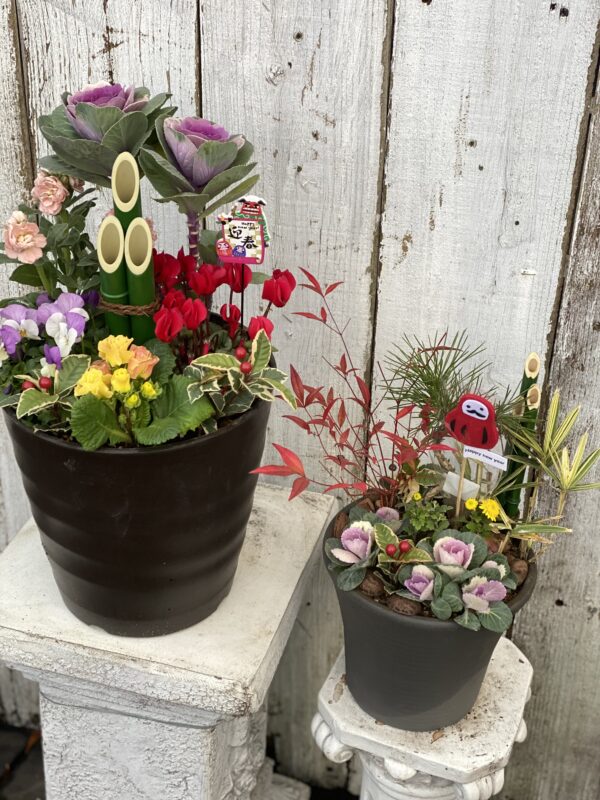 12月の寄せ植え 日曜クラス | 寄せ植え倶楽部ブログ