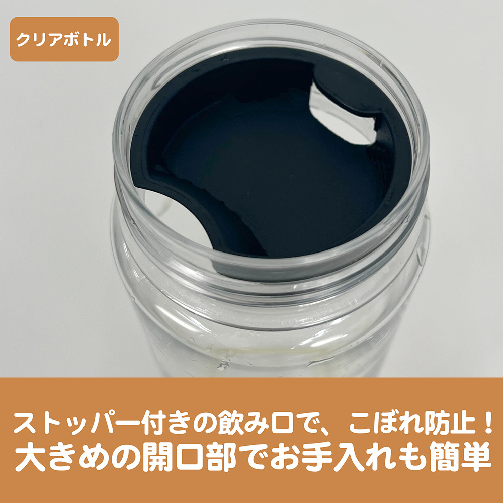 ☆限定☆アルクェイド・ブリュンスタッド おでかけセット [月姫 -A