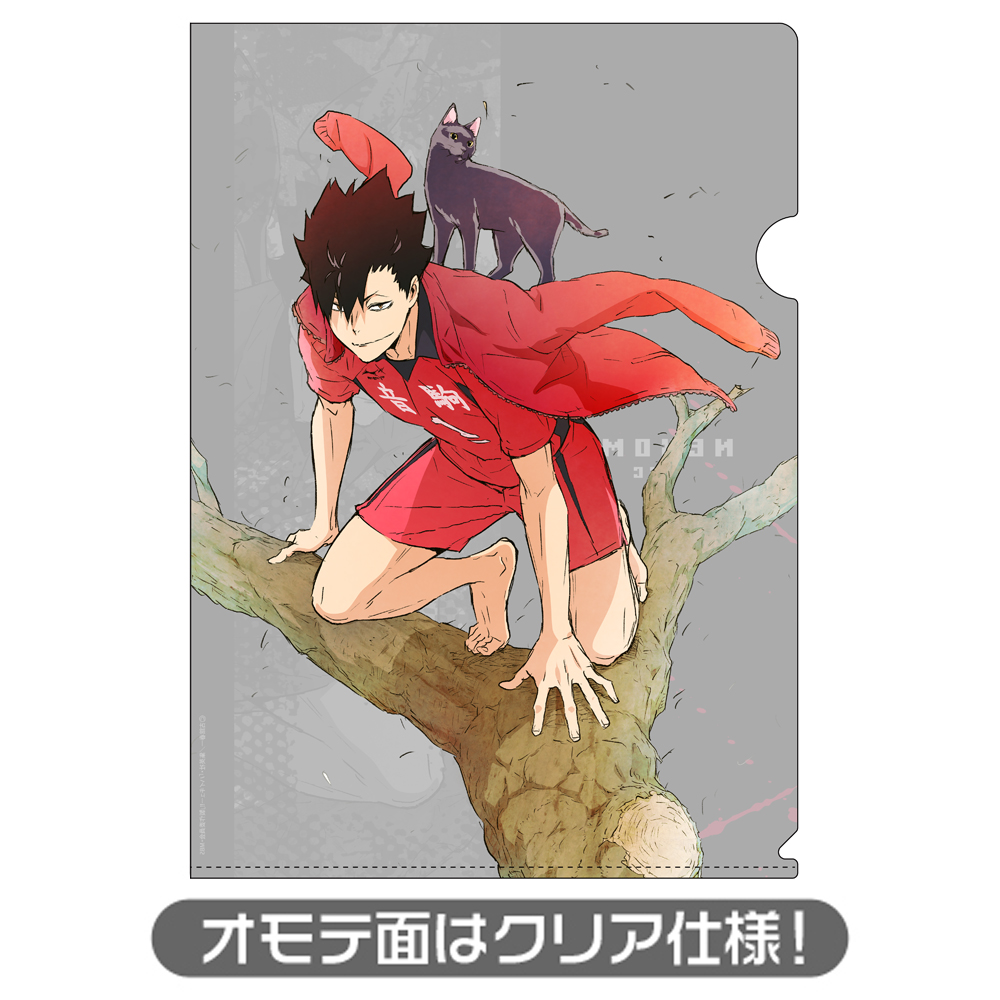 黒尾鉄朗 クリアファイル Ver.2.0 [ハイキュー!! TO THE TOP] | 公式