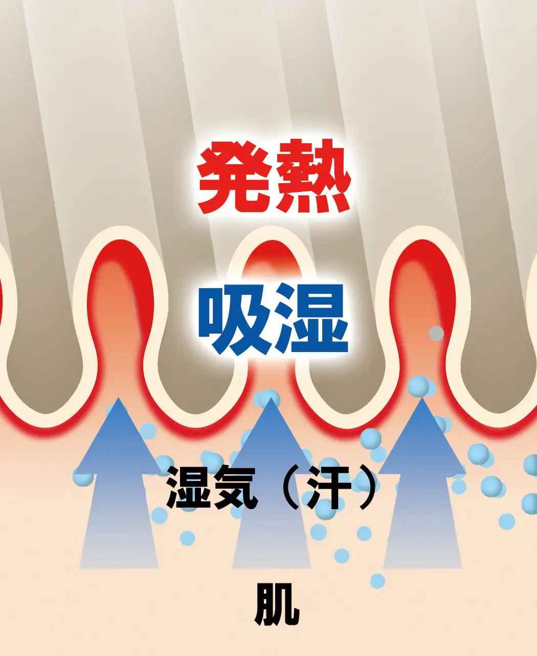 通販生活®ヒートコットンケット｜【公式】カタログハウスの通販サイト