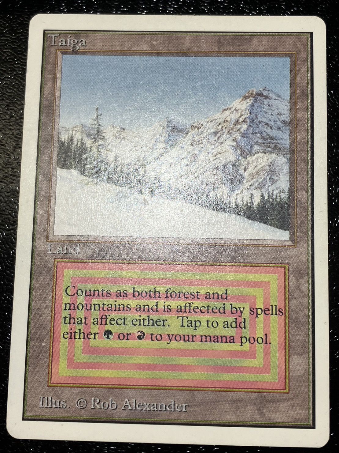 HPLD]Taiga《英語》【2ED】#121