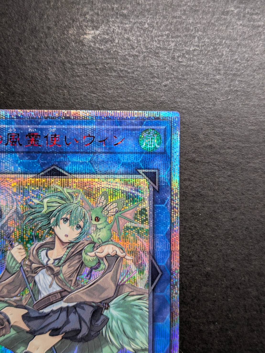 蒼翠の風霊使いウィン【20thシークレット】{RIRA-JP046}《リンク》