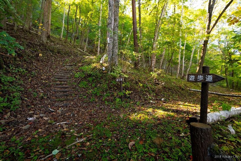 増富ラジウム温泉峡 - 山梨県北杜市公式サイト