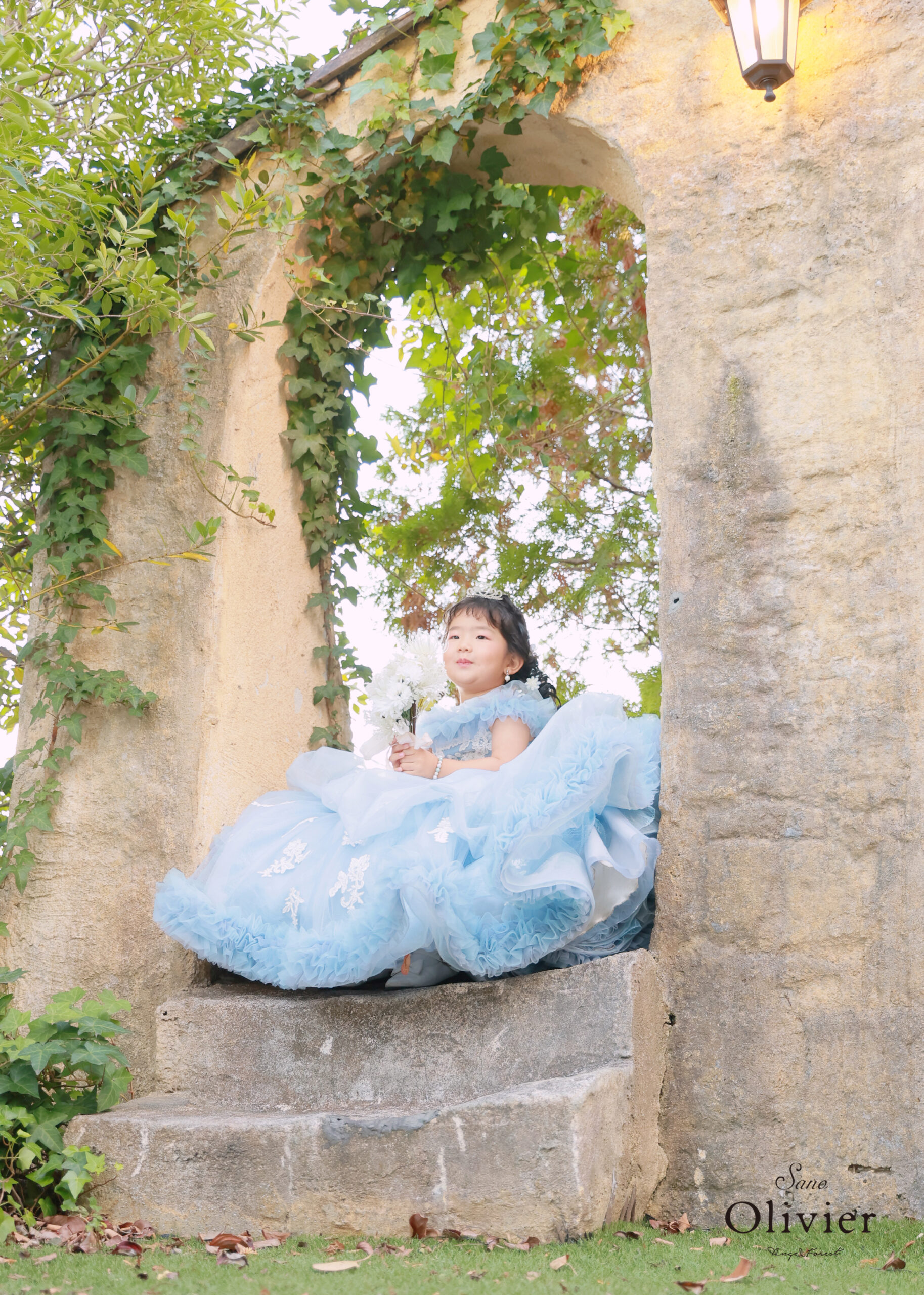 プリンセスプラン❀ - 栃木県の写真館 天使の森