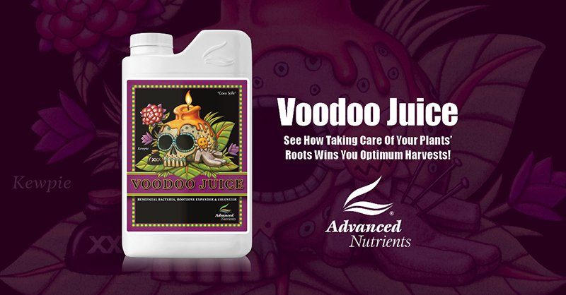 Voodoo Juice® | Root Mass Expander by Advanced Nutrients