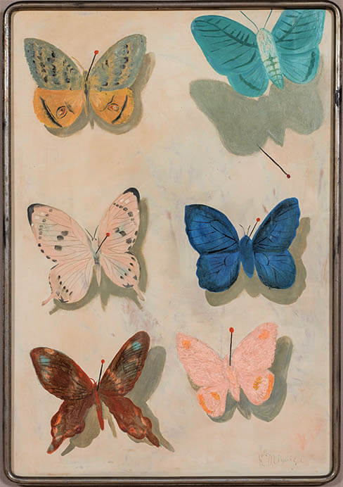 第3期所蔵品展「蝶を追いかけて」 | mima 北海道立三岸好太郎美術館