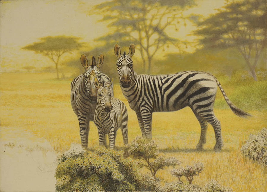 市制施行70周年記念 自然、生命、平和 私たちは見つめられている 吉田