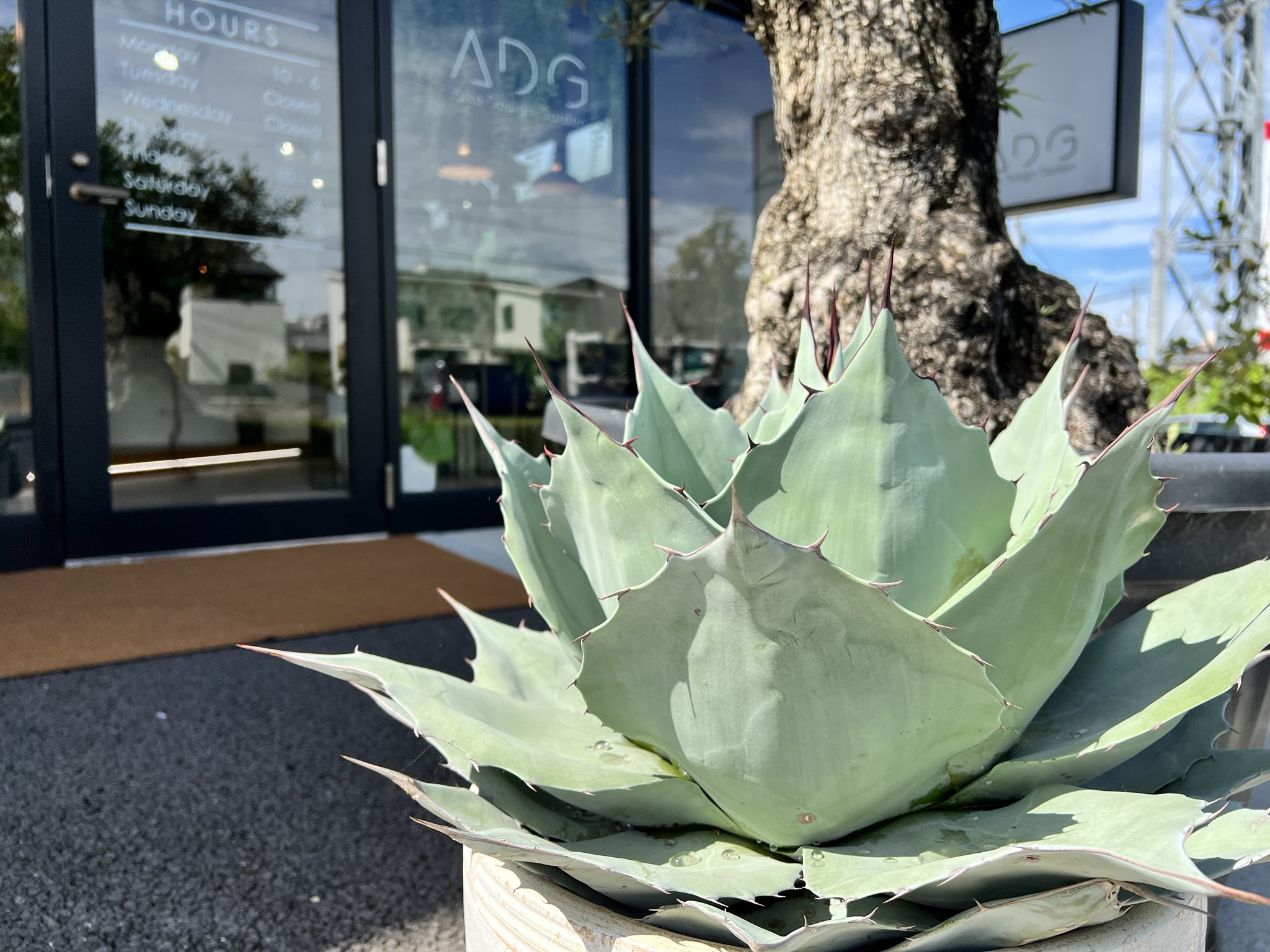 新着情報・ブログ | 新着情報・ブログ | 香川県 高松市｜エクステリア