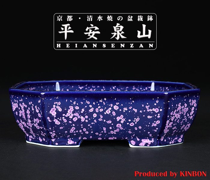 平安泉山紫結晶隅切長方鉢 | 盆栽、盆栽書籍、盆栽鉢の通販│近代出版