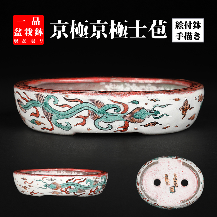京極士苞五彩雨龍図楕円鉢 | 盆栽、盆栽書籍、盆栽鉢の通販│近代出版