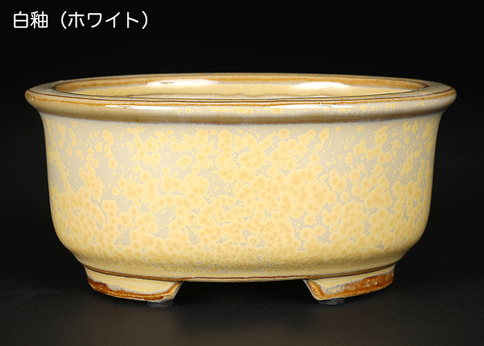 広東楕円鉢〔石峰雨竹〕 | 盆栽、盆栽書籍、盆栽鉢の通販│近代出版