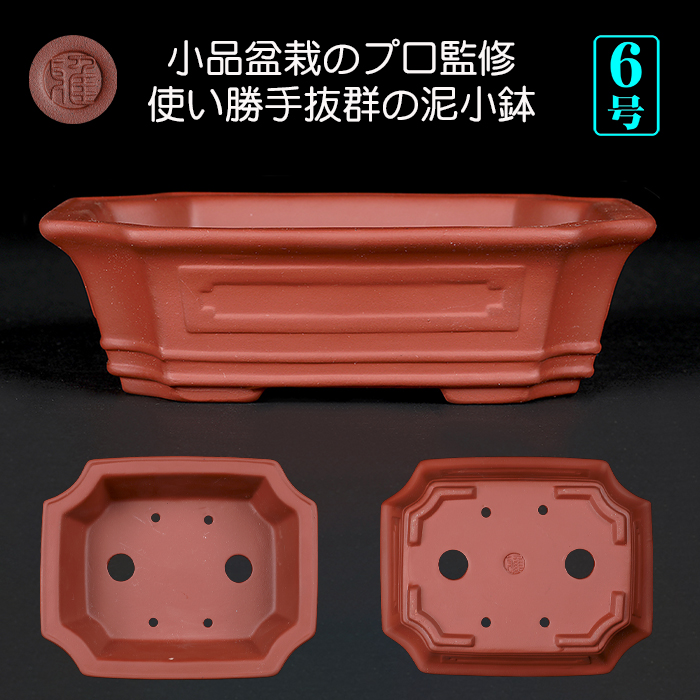 現代中国鉢 | 盆栽、盆栽書籍、盆栽鉢の通販│近代出版