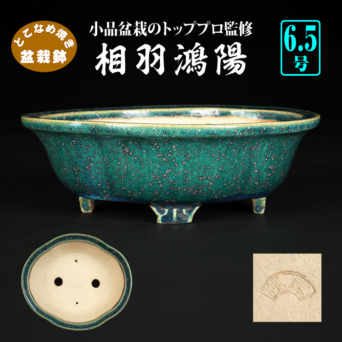 常滑鉢 | 盆栽、盆栽書籍、盆栽鉢の通販│近代出版