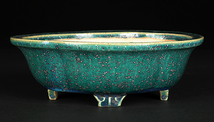 鴻陽織部釉木瓜式鉢 | 盆栽、盆栽書籍、盆栽鉢の通販│近代出版