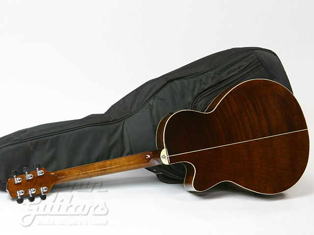 Cooder by Takamine TCP-560|ドルフィンギターズ