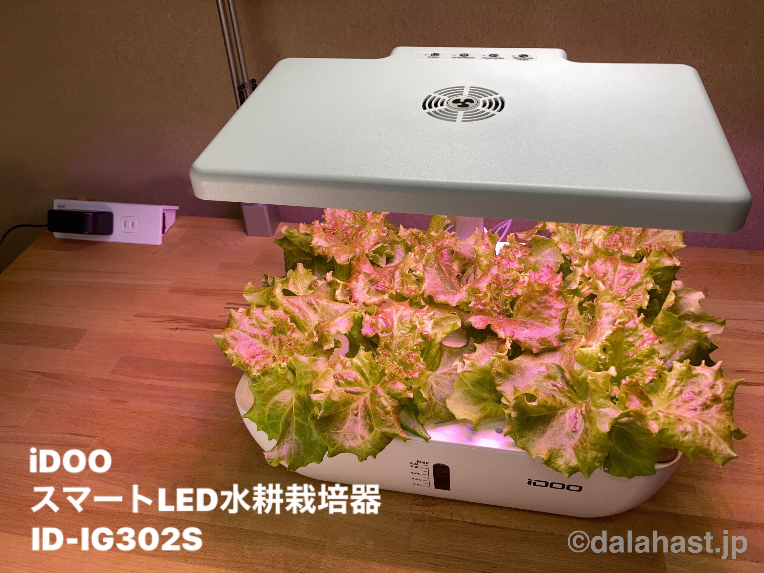 iDOOスマートLED水耕栽培器（IG302S）レビュー】アプリで自動化できる