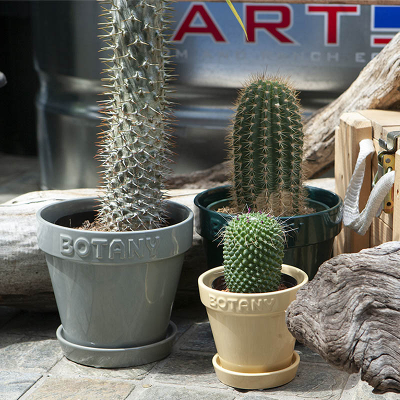 DULTON ONLINE SHOP | BOTANY POT 5 GRAY(5号 GRAY): ガーデン