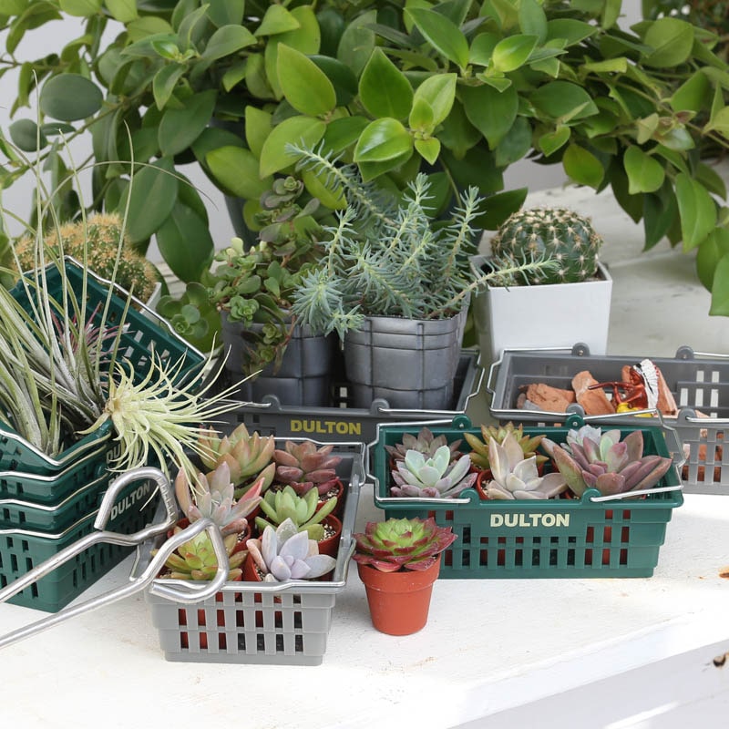 DULTON ONLINE SHOP | DESKTOP BASKET SAX(SAX): インテリア雑貨