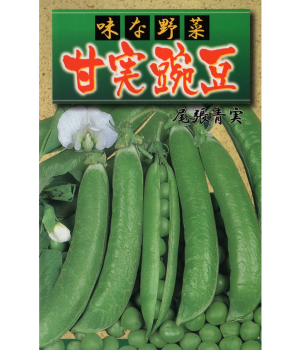 尾張青実エンドウ豆[豌豆] - e-種や｜国内最大級の野菜種・花種・苗