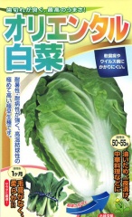 オリエンタル[白菜] - e-種や｜国内最大級の野菜種・花種・苗・農業