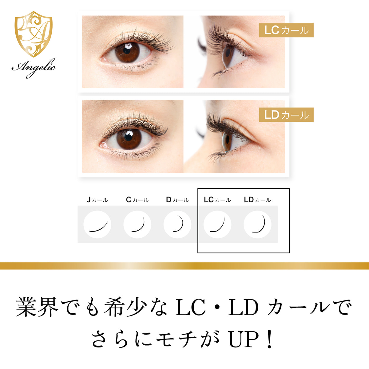 ボリュームラッシュ [Dカール太さ0.07長さ12mm]の通販・卸売り | アイ