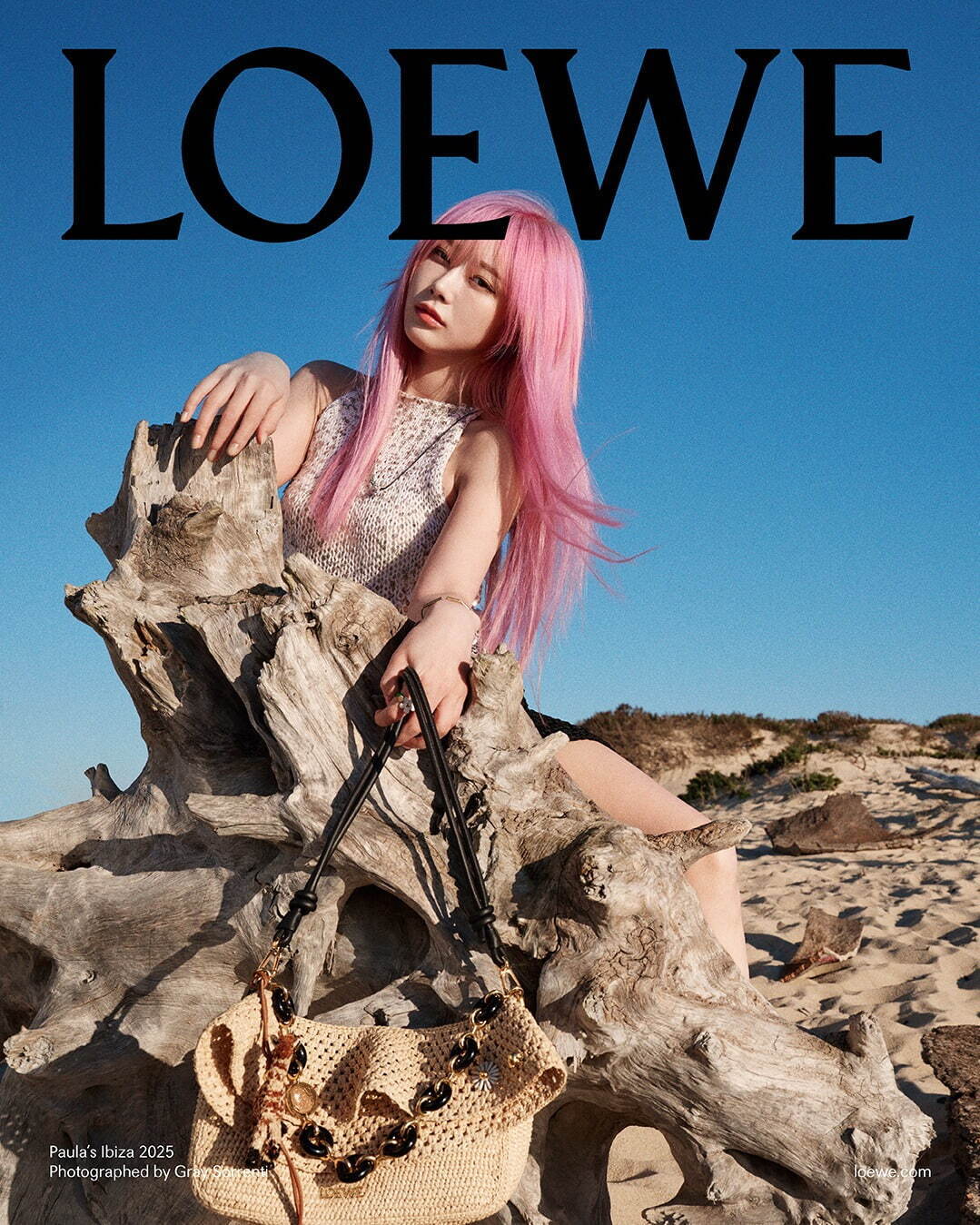 LOEWE☆SIGG アートプリント水筒 ピンク パウライビザ LOEWE☆SIGG