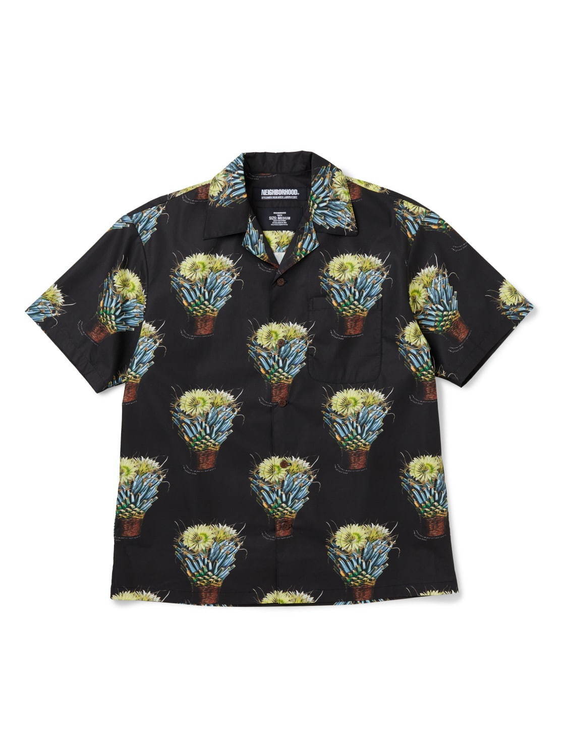 ネイバーフッド「SRL」×丹波の老舗“伝市釜”の別注植木鉢、サボテン