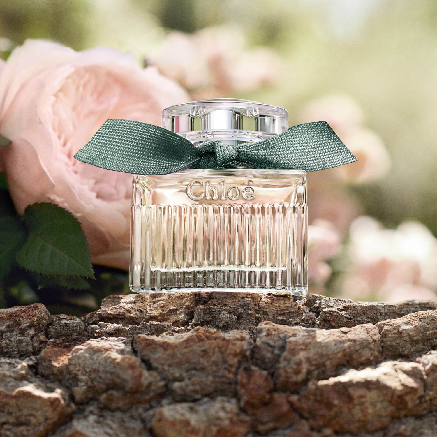 クロエ23年春フレグランス、魅惑的な“ウッディーローズの香り”を100