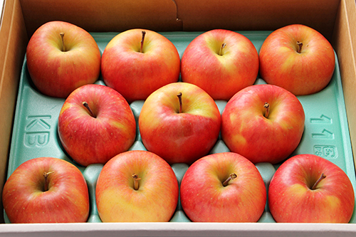 青森産 究極の蜜入りりんご 品種高徳 ブランド名≪こみつ≫ | G-Call