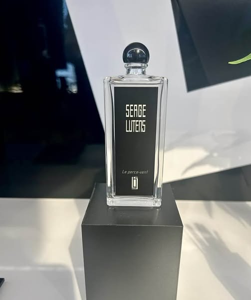 闇をくぐり抜け、光をまとう セルジュ・ルタンス「ルペルスヴァン