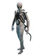 ホットトイズ | 株式会社ホットトイズジャパン