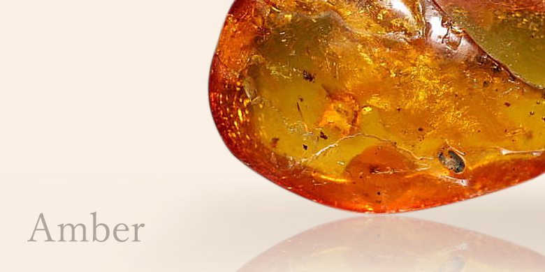 アンバー（琥珀） - 埼玉県吉川市の天然石専門店・水晶パワーストーン