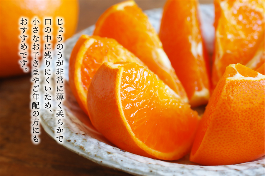 香川県産柑橘「せとか」 約5㎏（約15～24玉）: JAギフトセンターかが