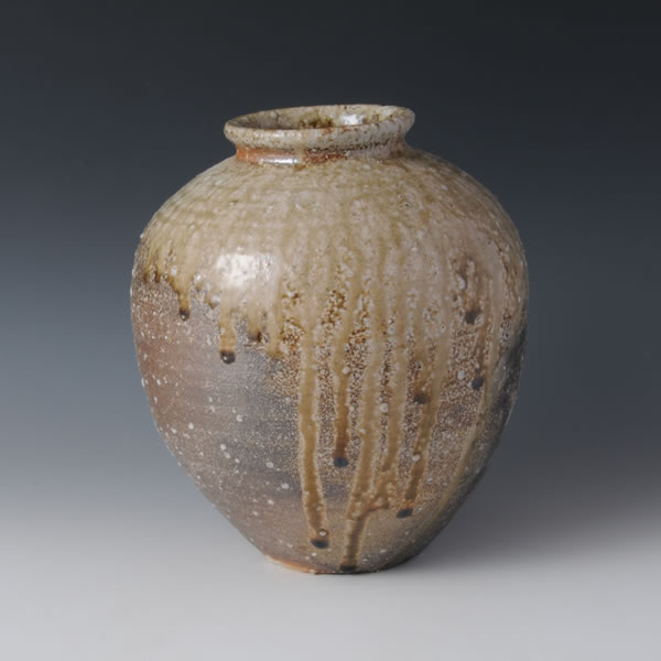 Japan Pottery Net / Jar B / Kanzaki Shusaku【Shigaraki】