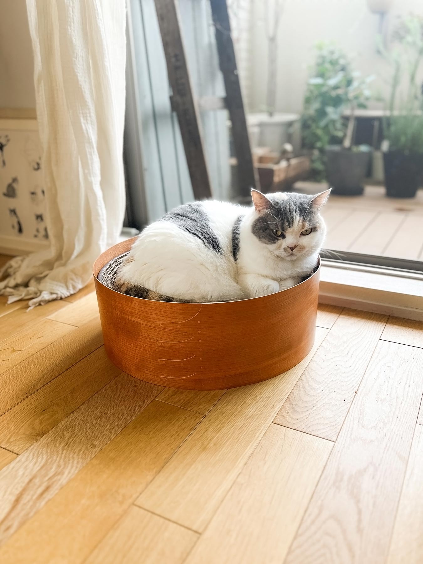 オルネコ・シェーカーネコベッド｜オルネコ（ベッド・ハウス）｜オルネ