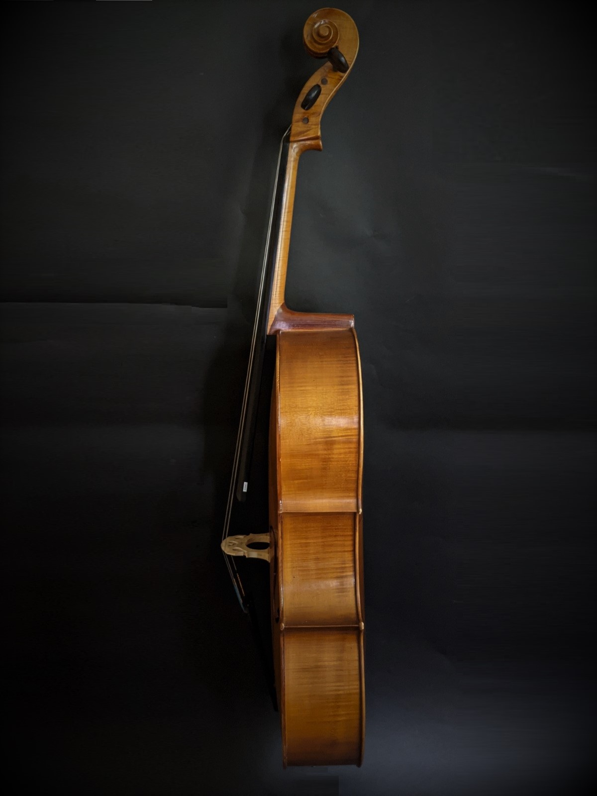 中古チェロ KARL HÖFNER 4/4サイズ | 株式会社エルフラット