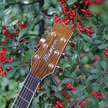 MD-306 | 生産完了品 | MORRIS GUITARS モーリスギター