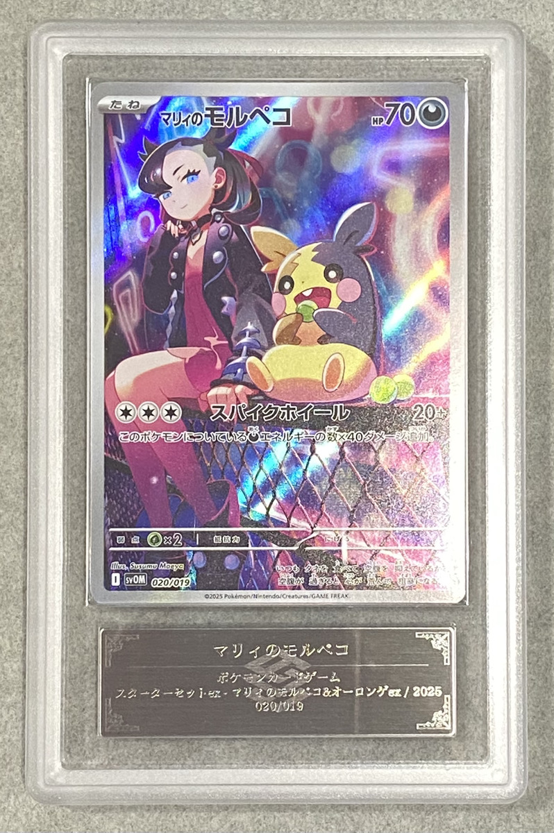 ARS10】 マリィのモルペコ 《AR仕様》 {020/019} [SVOM/スターター
